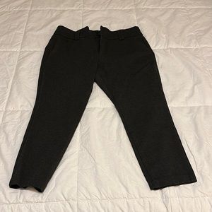 Torrid studio dress pants